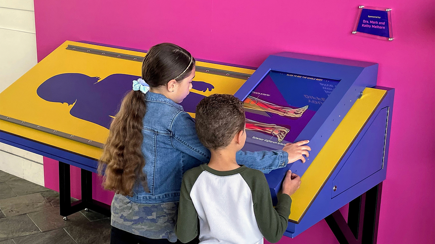 Health Inside Out | Exploration Place
